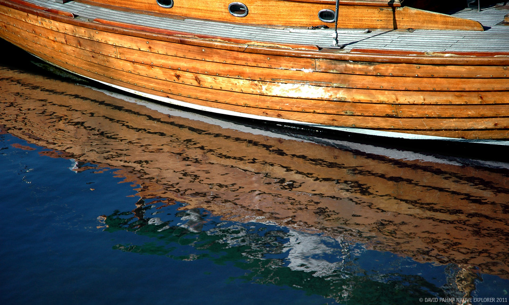 © David Pahmp 2011